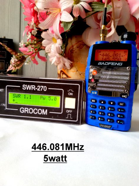 03--swr.jpg 03--swr.jpg